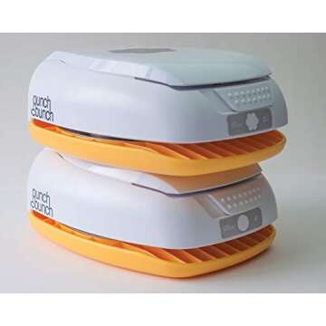 Punch Bunch XL Punch, Circle 3"