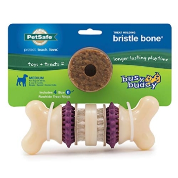 PetSafe Busy Buddy Bristle Bone for Medium Dogs