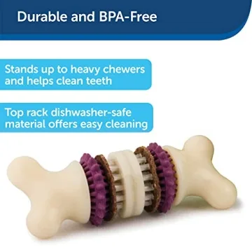 PetSafe Busy Buddy Bristle Bone for Medium Dogs