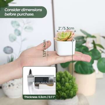 T4U 2 Inch Small White Succulent Planter Pots with Bamboo Tray Square Set of 6, Ceramic Flower Pots ...