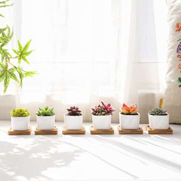 T4U 2 Inch Small White Succulent Planter Pots with Bamboo Tray Square Set of 6, Ceramic Flower Pots Cactus Air PlantContainers,Succulent Plant Gifts for Women Coworker, Modern Home and Office Decor