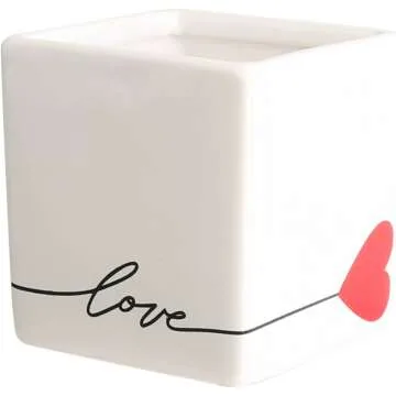 Hoya Heart Plant in Modern Love Planter 5-Inch