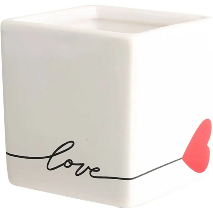 Hoya Heart Plant in Modern Love Planter 5-Inch