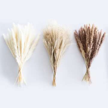 Natural Dried Pampas Grass Decor, Bouquet for Boho Home Decor, Vase Filler, Fluffy Dried Fall Pampas for Table and Home Decorations