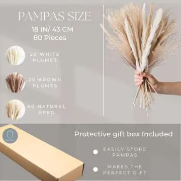 Natural Dried Pampas Grass Decor, Bouquet for Boho Home Decor, Vase Filler, Fluffy Dried Fall Pampas for Table and Home Decorations