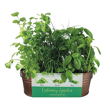 BUZZY Organic Windowsill Grow Kit - Fresh Herbs Gardening Gift