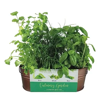BUZZY Organic Windowsill Grow Kit - Fresh Herbs Gardening Gift