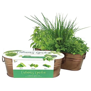 BUZZY Organic Windowsill Grow Kit Fresh Herbs Gardening