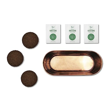 BUZZY Organic Windowsill Grow Kit Fresh Herbs Gardening