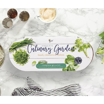 BUZZY Organic Windowsill Grow Kit Fresh Herbs Gardening