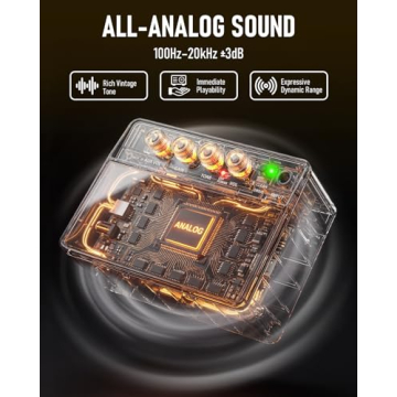 Flatsons FBA-10 Guitar Amplifier - A 10W Portable Amp for Musicians and Travelers