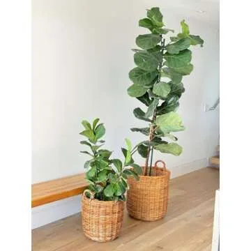 KOUBOO Lacak Rattan Storage Basket Stylish Eco-friendly