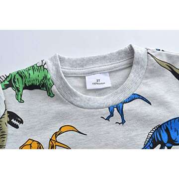 Little Hand Toddler Boy Sweatshirt Hoodie Long Sleeve Pullover Tops Crew Neck Dinosaur Shirts 2 3 T