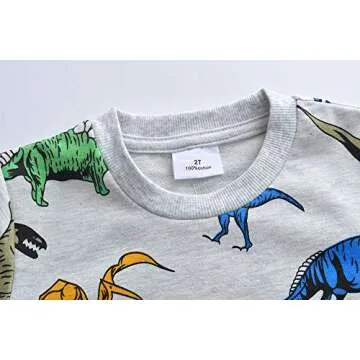 Little Hand Toddler Boy Sweatshirt Hoodie Long Sleeve Pullover Tops Crew Neck Dinosaur Shirts 2 3 T