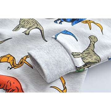 Little Hand Toddler Boy Sweatshirt Hoodie Long Sleeve Pullover Tops Crew Neck Dinosaur Shirts 2 3 T