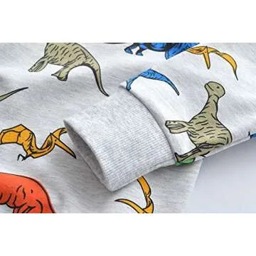 Little Hand Toddler Boy Sweatshirt Hoodie Long Sleeve Pullover Tops Crew Neck Dinosaur Shirts 2 3 T