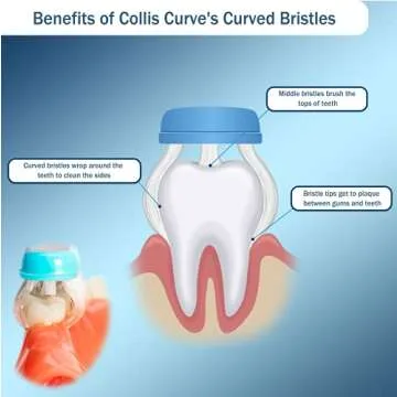 Collis Curve 3 Sided Toothbrush for Sensitive Gums and Braces