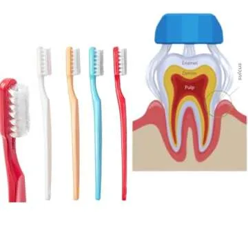 Collis Curve 3 Sided Toothbrush for Sensitive Gums and Braces