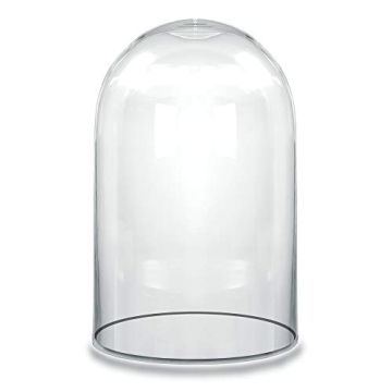 CYS EXCEL Dome Glass Cloche - Decorative Showcase Display for Plants & Collectibles