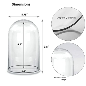 CYS EXCEL Dome Glass Cloche - Decorative Showcase Display