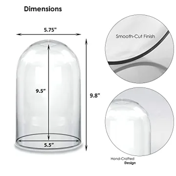 CYS EXCEL Dome Glass Cloche - Decorative Showcase Display