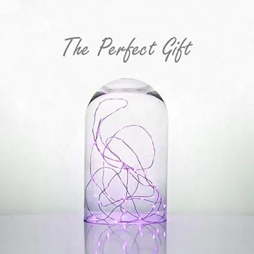 CYS EXCEL Dome Glass Cloche - Decorative Showcase Display