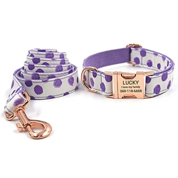 Stylish PETDURO Personalized Dog Collar with Engraving