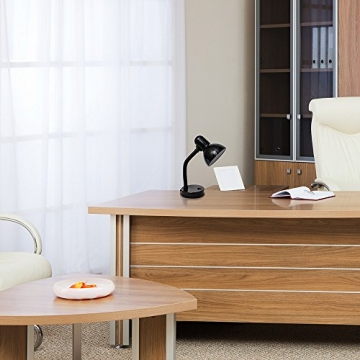 Flexible Hose Neck Desk Lamp for Home Office Reading