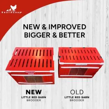 RentACoop Little Red Barn Folding Chick Brooder Set – Holds 4 Chicks up to 8 Weeks of Age - All-in-One Set Includes Brooder, Heat Plate, Feeder, and Waterer (Brooder Set)