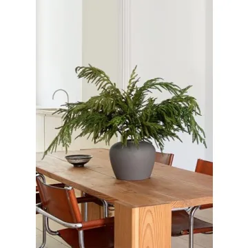 Afloral Real Touch Norfolk Pine Branch 36 Inch Lifelike Decor