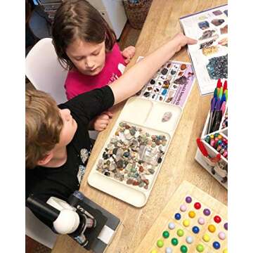 Dancing Bear Rock & Mineral Collection Activity Kit (200 Pc Set) with Meteorite, Real Shark Teeth Fo...