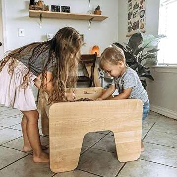 Dancing Bear Rock & Mineral Collection Activity Kit (200 Pc Set) with Meteorite, Real Shark Teeth Fossils, Arrowheads, Crystals, Gemstones, Treasure Hunt ID Sheet, STEM Science Education, Made in USA