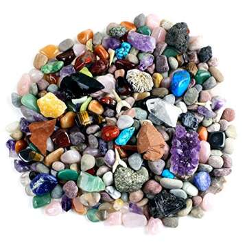 Dancing Bear Rock & Mineral Collection Activity Kit (200 Pc Set) with Meteorite, Real Shark Teeth Fossils, Arrowheads, Crystals, Gemstones, Treasure Hunt ID Sheet, STEM Science Education, Made in USA