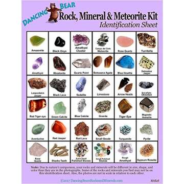 Dancing Bear Rock & Mineral Collection Activity Kit (200 Pc Set) with Meteorite, Real Shark Teeth Fossils, Arrowheads, Crystals, Gemstones, Treasure Hunt ID Sheet, STEM Science Education, Made in USA