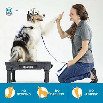 Blue-9 KLIMB Training Kit for Dogs with Accessories