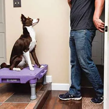 Blue-9 KLIMB Training Kit for Dogs with Accessories