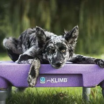 Blue-9 KLIMB Training Kit for Dogs with Accessories