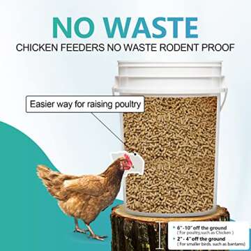 Hugshine Chicken Feeder - Ultimate Poultry Feeding Solution