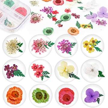 JOYJULY 2 Boxes Dry Flowers for Nails, 24 Colors Nail Dried Flowers Mini Natural Real Dry Flowers Nail Art Supplies 3D Applique for Nail Art Design Manicure Decoration