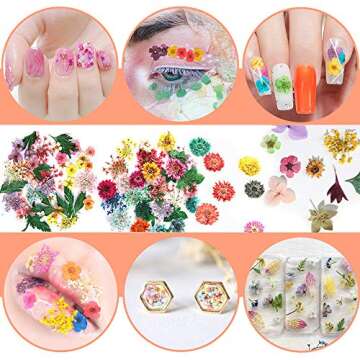 JOYJULY 2 Boxes Dry Flowers for Nails, 24 Colors Nail Dried Flowers Mini Natural Real Dry Flowers Nail Art Supplies 3D Applique for Nail Art Design Manicure Decoration