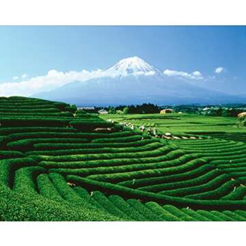 Palais des Thés - Rooibos Des Vahinés - Premium Caffeine-Free Vanilla and Almond Flavored Tea - 20 Count Biodegradable Cotton Tea Bags Box