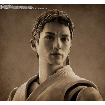 S.H.Figuarts Roronoa Zoro from Netflix One Piece Figure