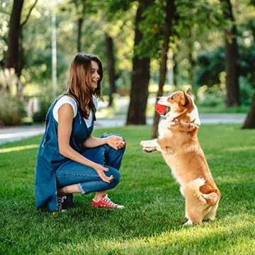 Strawberry Dog Enrichment Toys, Treat Dispensing Dog Toys, Dog Treat Toy, Made of Durable Natural Rubber, for Medium & Large Size Dogs