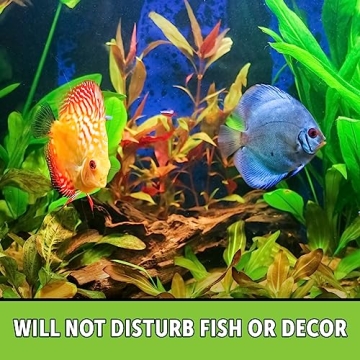 Python No Spill Clean and Fill Aquarium Maintenance System