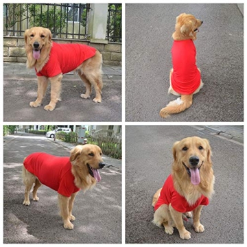 Lovelonglong Dog T-Shirts for All Breeds in 17 Sizes