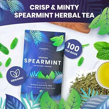 Organic Spearmint Herbal Tea — 100 Tea Bags | Grown in USA | Eco-Friendly Tea Bags | Non-GMO Caffe...