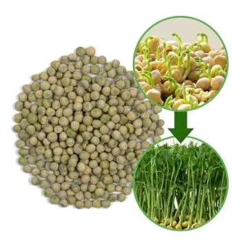 The Sprout House Green Peas - Organic Green Peas for Sprouting or Cooking, High Germination, Non-GMO...