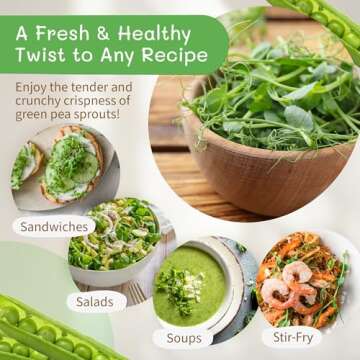 The Sprout House Green Peas - Organic Green Peas for Sprouting or Cooking, High Germination, Non-GMO, Resealable Bag for Freshness, Perfect for Salads, Shoots, & Healthy Recipes, 1LB Green Pea Seeds