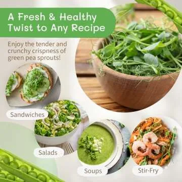 The Sprout House Green Peas - Organic Green Peas for Sprouting or Cooking, High Germination, Non-GMO, Resealable Bag for Freshness, Perfect for Salads, Shoots, & Healthy Recipes, 1LB Green Pea Seeds
