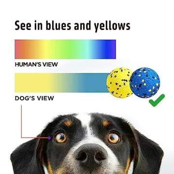 Kimee Dog Balls Tennis Ball Toys Dog Toys for Aggressive Chewers Durable Teething Chew Toys Water Toy Fetch Balls for Large Medium Small Dog and Puppies (4 Balls)